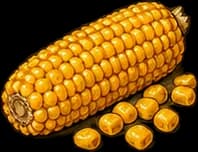 Corn