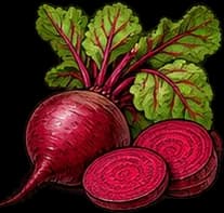 Beets