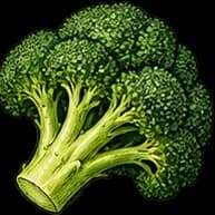 Brocoli
